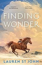 Finding Wonder