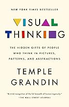 Visual Thinking: The Hidden Gifts of People Who Think in Pictures, Patterns, and Abstractions