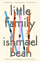 Little Family: A Novel