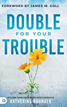 Double for Your Trouble: Let God Turn Your Mess Into a Miracle