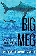 Big Meg: The Story of the Largest and Most Mysterious Predator That Ever Lived