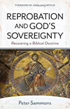 Reprobation and God's Sovereignty: Redeeming a Biblical Doctrine