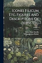 Icones Filicum Etc. Figures And Descriptions Of Ferns Etc; Volume 1