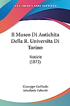 Il Museo Di Antichita Della R. Universita Di Torino: Notizie (1872)