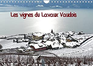 Les vignes du Lavaux Vaudois (Calendrier mural 2023 DIN A4 horizontal): Vignes en terrasses sous la neige (Calendrier mensuel, 14 Pages )