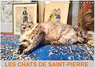 LES CHATS DE SAINT-PIERRE (Calendrier mural 2023 DIN A4 horizontal): Les chats de gouttière en mode survie (Calendrier mensuel, 14 Pages )