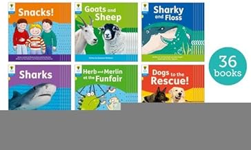 Oxford Reading Tree: Floppy's Phonics Decoding Practice: Oxford Level 3: Class Pack of 36