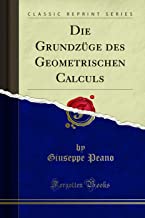 Die Grundzüge des Geometrischen Calculs (Classic Reprint)