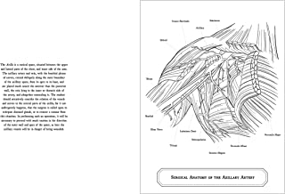 Gray's Anatomy Colouring Book: Images to Colour from the Classic 1860 Edition