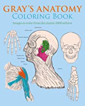 Gray's Anatomy Coloring Book