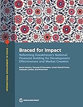 The Braced for Impact: Reforming Kazakhstan's National Financial Holding for Development Effectiveness and Market Creation