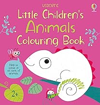 Little children’s animal. Colouring Book . Ediz. a colori