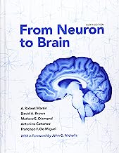 From Neuron to Brain
