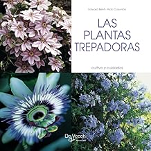 las plantas trepadoras