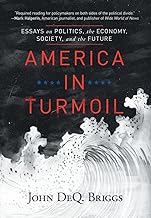 America in Turmoil: Essays on Politics, the Economy, Society, and the Future