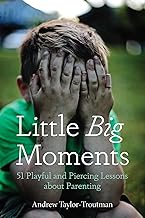 Little Big Moments: 51 Playful and Piercing Lessons about Parenting