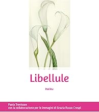 Libellule: haiku