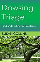 Dowsing Triage: Find and Fix Energy Problems