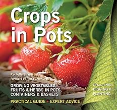 Crops in Pots: Practical Guide, Expert Advice