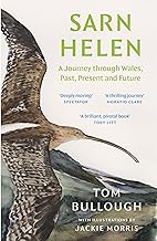 Sarn Helen: A Journey Through Wales, Past, Present and Future