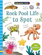 Rock Pool Life to Spot (Usborne Minis)