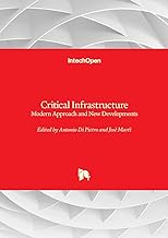 Critical Infrastructure: Modern Approach and New Developments