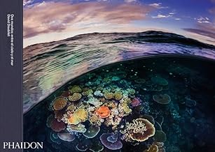Dos mundos/ Two Worlds: Entre El Cielo Y El Mar/ Above and Below the Sea