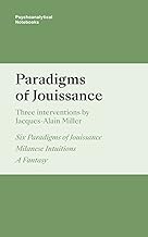 Paradigms of Jouissance: London Society of the New Lacanian School