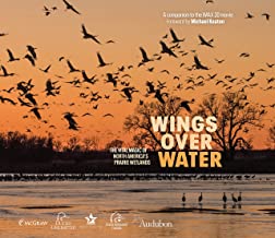 Wings over Water: The Vital Magic of North America’s Prairie Wetlands