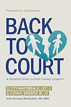 Back to Court: A Complete Guide to Child Custody Litigation