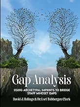 Gap Analysis: Using Archetypal Imprints to Bridge Staff Mindset Gaps