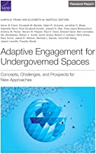 Adaptive Engagement for Undergoverned Spaces: Concepts, Challenges, and Prospects for New Approaches