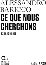 Ce que nous cherchons : 33 fragments