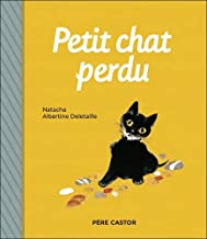 Petit chat perdu