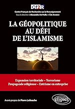 La géopolitique au défi de l'islamisme: Expansion territoriale, terrorisme, propagande religieuse, entrisme en entreprise