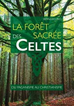 La forêt sacrée des Celtes : du paganisme au christianisme