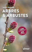 Arbres et arbustes