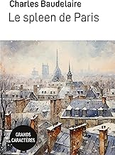 Le spleen de Paris: Grands Caractères