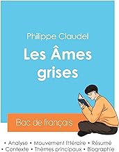 Réussir son Bac de français 2024 : Analyse des Âmes grises de Philippe Claudel: Analyse des mes grises de Philippe Claudel