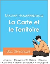 Réussir son Bac de français 2024 : Analyse du roman La Carte et le Territoire de Michel Houellebecq