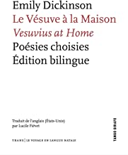 Le vesuve a la maison