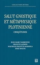 Salut gnostique et métaphysique plotinienne. Cinq études