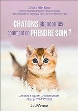 Chatons abandonnés : comment en prendre soin ?: Les soins d'urgence, la domestication et les gestes d'affection