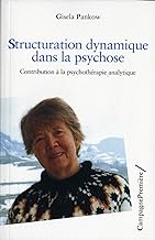 Structuration dynamique dans la psychose - Contribution à la psychothérapie analytique: Contribution à la psychotherapie analytique