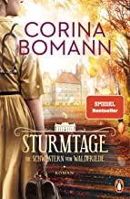 Sturmtage: Die Schwestern vom Waldfriede - Roman - Im 3. Band der Bestseller-Saga setzt eine tapfere Ärztin für ihre Patienten alles aufs Spiel