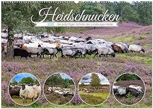 Heidschnucken, die prächtigen Schafe der Lüneburger Heide (Wandkalender 2025 DIN A2 quer), CALVENDO Monatskalender: Diese Tiere sind unentbehrlich für den Erhalt der Heideflächen.