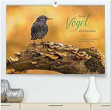 Bunte Vögel am Futterplatz (hochwertiger Premium Wandkalender 2025 DIN A2 quer), Kunstdruck in Hochglanz: Singvögel an der Futterstelle