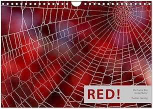 RED! (Wandkalender 2025 DIN A4 quer), CALVENDO Monatskalender