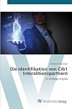 Die Identifikation von Cib1 Interaktionspartnern: in Ustilago maydis