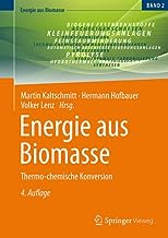 Energie Aus Biomasse: Thermo-chemische Konversion